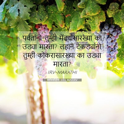 Picture 07 - स्तोत्रसंहिता 114:6 MARIRV - पर्वतांनो, तुम्ही - Bible Verse Picture