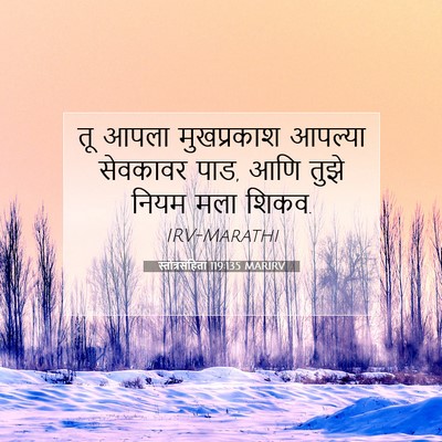 Picture 07 - स्तोत्रसंहिता 119:135 MARIRV - तू आपला मुखप्रकाश - Bible Verse Picture