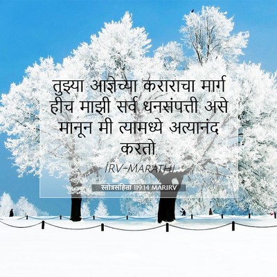Picture 07 - स्तोत्रसंहिता 119:14 MARIRV - तुझ्या आज्ञेच्या - Bible Verse Picture