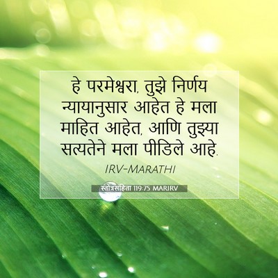 Picture 07 - स्तोत्रसंहिता 119:75 MARIRV - हे परमेश्वरा, तुझे - Bible Verse Picture