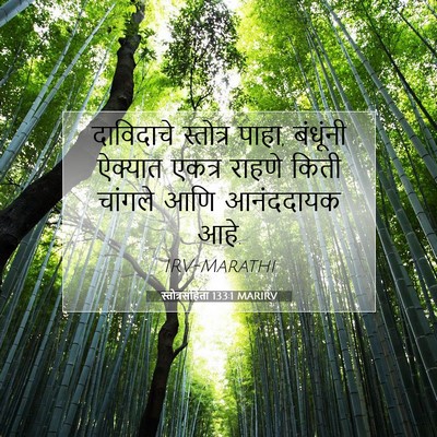 Picture 07 - स्तोत्रसंहिता 133:1 MARIRV - दाविदाचे स्तोत्र - Bible Verse Picture