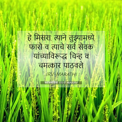 Picture 07 - स्तोत्रसंहिता 135:9 MARIRV - हे मिसरा, त्याने - Bible Verse Picture