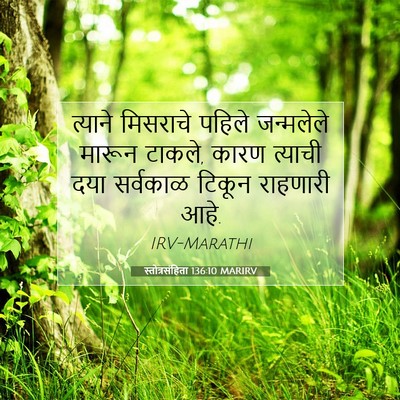 Picture 07 - स्तोत्रसंहिता 136:10 MARIRV - त्याने मिसराचे - Bible Verse Picture