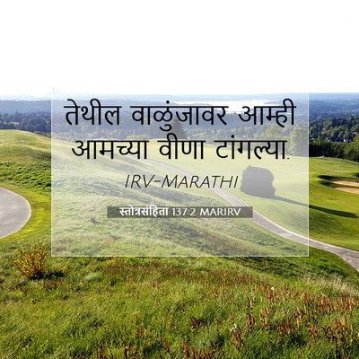 Picture 07 - स्तोत्रसंहिता 137:2 MARIRV - तेथील वाळुंजावर - Bible Verse Picture