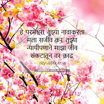 Picture 07 - स्तोत्रसंहिता 143:11 MARIRV - हे परमेश्वरा, - Bible Verse Picture