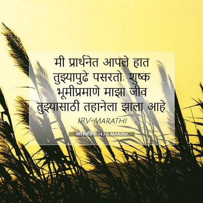 Picture 07 - स्तोत्रसंहिता 143:6 MARIRV - मी प्रार्थनेत - Bible Verse Picture