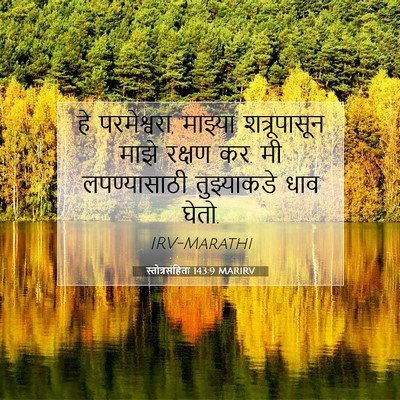 Picture 07 - स्तोत्रसंहिता 143:9 MARIRV - हे परमेश्वरा, - Bible Verse Picture