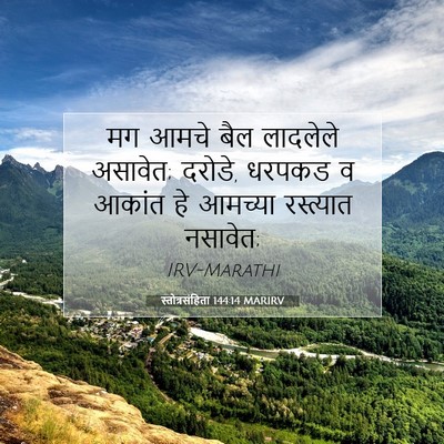 Picture 07 - स्तोत्रसंहिता 144:14 MARIRV - मग आमचे बैल - Bible Verse Picture