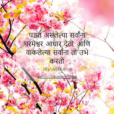 Picture 07 - स्तोत्रसंहिता 145:14 MARIRV - पडत असलेल्या - Bible Verse Picture