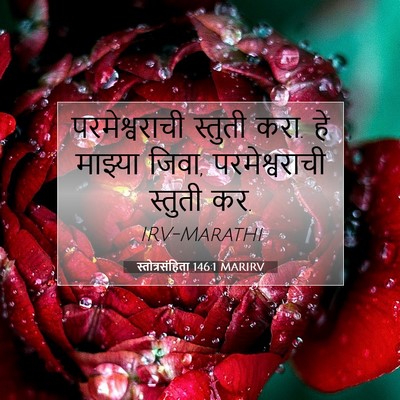 Picture 07 - स्तोत्रसंहिता 146:1 MARIRV - परमेश्वराची - Bible Verse Picture