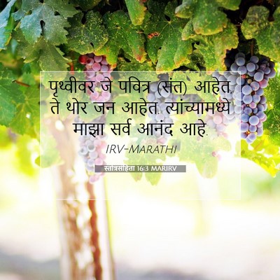 Picture 07 - स्तोत्रसंहिता 16:3 MARIRV - पृथ्वीवर जे - Bible Verse Picture