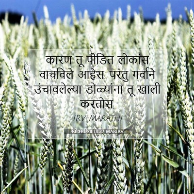 Picture 07 - स्तोत्रसंहिता 18:27 MARIRV - कारण तू पीडित - Bible Verse Picture