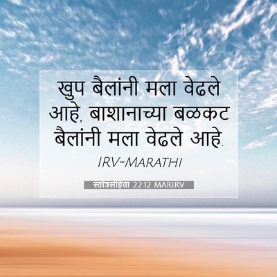 Picture 07 - स्तोत्रसंहिता 22:12 MARIRV - खुप बैलांनी मला - Bible Verse Picture