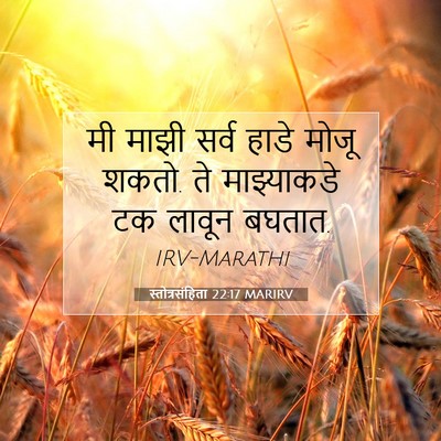 Picture 07 - स्तोत्रसंहिता 22:17 MARIRV - मी माझी सर्व हाडे - Bible Verse Picture