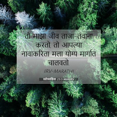 Picture 07 - स्तोत्रसंहिता 23:3 MARIRV - तो माझा जीव - Bible Verse Picture