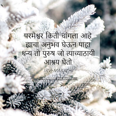 Picture 07 - स्तोत्रसंहिता 34:8 MARIRV - परमेश्वर किती - Bible Verse Picture