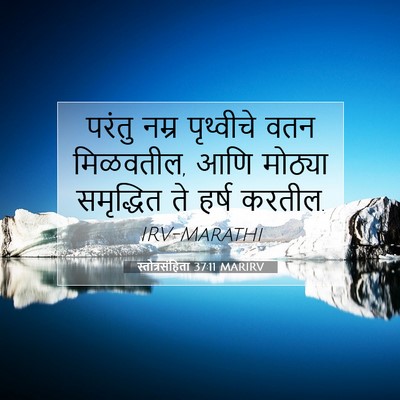 Picture 07 - स्तोत्रसंहिता 37:11 MARIRV - परंतु नम्र - Bible Verse Picture