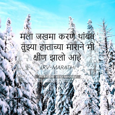 Picture 07 - स्तोत्रसंहिता 39:10 MARIRV - मला जखमा करणे - Bible Verse Picture