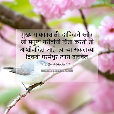 Picture 07 - स्तोत्रसंहिता 41:1 MARIRV - मुख्य गायकासाठी; - Bible Verse Picture