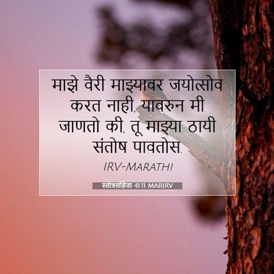 Picture 07 - स्तोत्रसंहिता 41:11 MARIRV - माझे वैरी - Bible Verse Picture