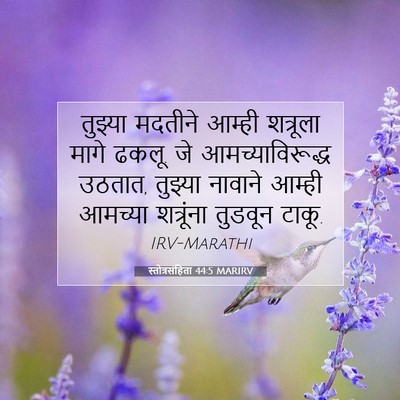 Picture 07 - स्तोत्रसंहिता 44:5 MARIRV - तुझ्या मदतीने - Bible Verse Picture