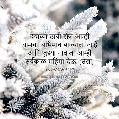 Picture 07 - स्तोत्रसंहिता 44:8 MARIRV - देवाच्या ठायी रोज - Bible Verse Picture