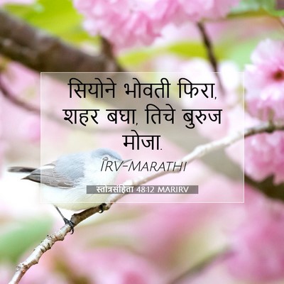 Picture 07 - स्तोत्रसंहिता 48:12 MARIRV - सियोने भोवती फिरा, - Bible Verse Picture