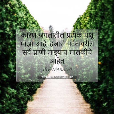Picture 07 - स्तोत्रसंहिता 50:10 MARIRV - कारण जंगलातील - Bible Verse Picture