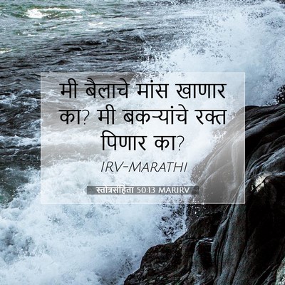 Picture 07 - स्तोत्रसंहिता 50:13 MARIRV - मी बैलाचे मांस - Bible Verse Picture