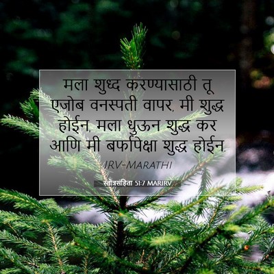 Picture 07 - स्तोत्रसंहिता 51:7 MARIRV - मला शुध्द - Bible Verse Picture