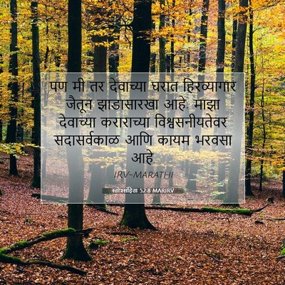 Picture 07 - स्तोत्रसंहिता 52:8 MARIRV - पण मी तर देवाच्या - Bible Verse Picture