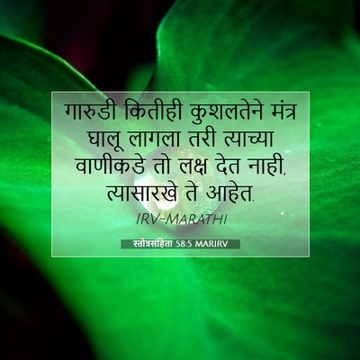 Picture 07 - स्तोत्रसंहिता 58:5 MARIRV - गारुडी कितीही - Bible Verse Picture