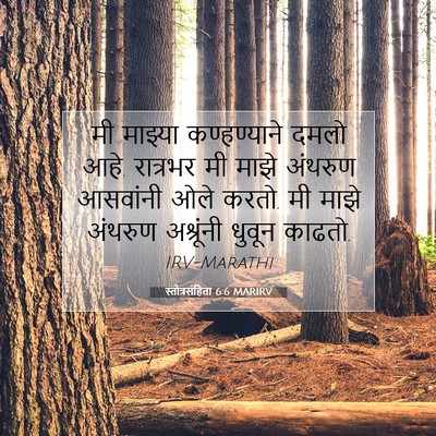 Picture 07 - स्तोत्रसंहिता 6:6 MARIRV - मी माझ्या - Bible Verse Picture