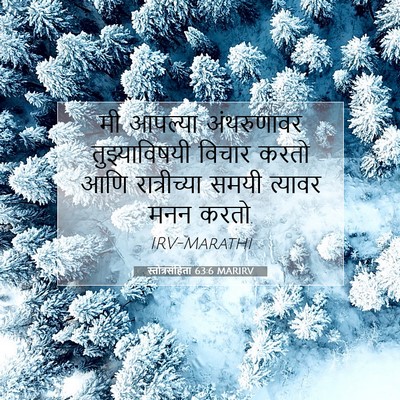 Picture 07 - स्तोत्रसंहिता 63:6 MARIRV - मी आपल्या - Bible Verse Picture