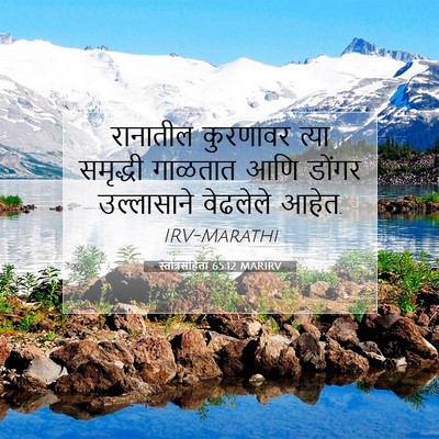 Picture 07 - स्तोत्रसंहिता 65:12 MARIRV - रानातील कुरणावर - Bible Verse Picture