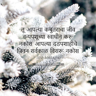 Picture 07 - स्तोत्रसंहिता 74:19 MARIRV - तू आपल्या - Bible Verse Picture