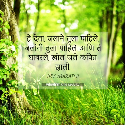 Picture 07 - स्तोत्रसंहिता 77:16 MARIRV - हे देवा, जलाने तुला - Bible Verse Picture