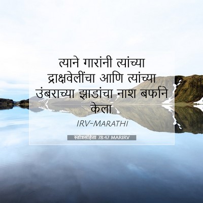 Picture 07 - स्तोत्रसंहिता 78:47 MARIRV - त्याने गारांनी - Bible Verse Picture