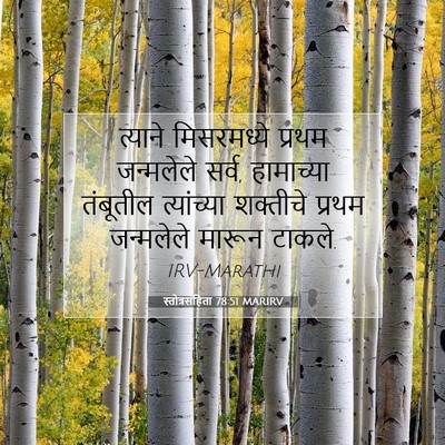 Picture 07 - स्तोत्रसंहिता 78:51 MARIRV - त्याने मिसरमध्ये - Bible Verse Picture