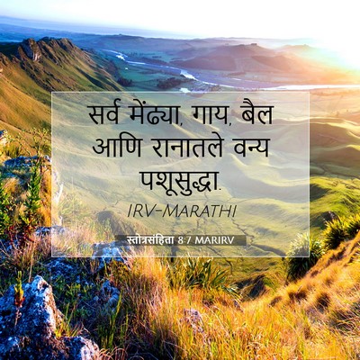 Picture 07 - स्तोत्रसंहिता 8:7 MARIRV - सर्व मेंढ्या, गाय, - Bible Verse Picture
