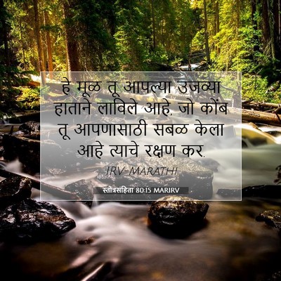 Picture 07 - स्तोत्रसंहिता 80:15 MARIRV - हे मूळ तू आपल्या - Bible Verse Picture