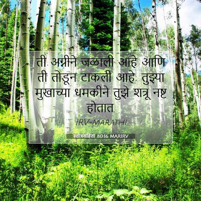 Picture 07 - स्तोत्रसंहिता 80:16 MARIRV - ती अग्नीने जळाली - Bible Verse Picture