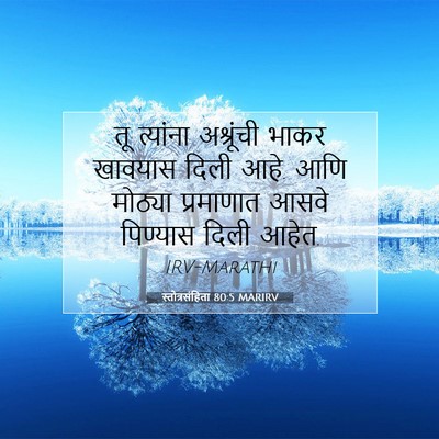 Picture 07 - स्तोत्रसंहिता 80:5 MARIRV - तू त्यांना - Bible Verse Picture