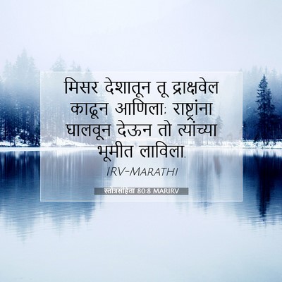 Picture 07 - स्तोत्रसंहिता 80:8 MARIRV - मिसर देशातून तू - Bible Verse Picture