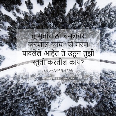 Picture 07 - स्तोत्रसंहिता 88:10 MARIRV - तू मृतांसाठी - Bible Verse Picture
