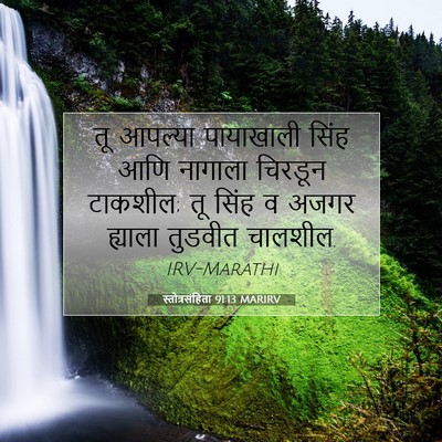Picture 07 - स्तोत्रसंहिता 91:13 MARIRV - तू आपल्या - Bible Verse Picture