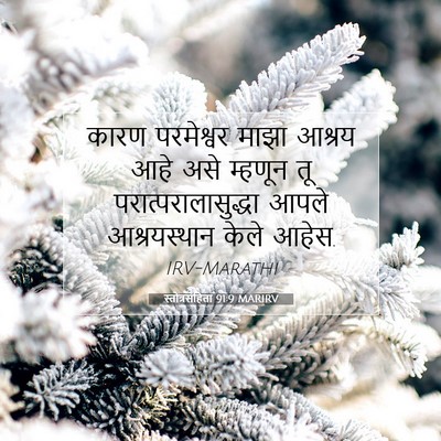 Picture 07 - स्तोत्रसंहिता 91:9 MARIRV - कारण परमेश्वर - Bible Verse Picture