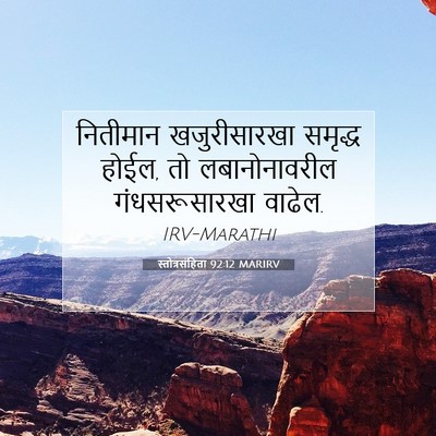 Picture 07 - स्तोत्रसंहिता 92:12 MARIRV - नितीमान - Bible Verse Picture