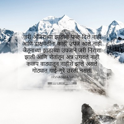 Picture 07 - हबक्कूक 3:17 MARIRV - जरी अंजिराच्या - Bible Verse Picture