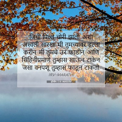 Picture 07 - होशेय 13:8 MARIRV - जिची पिल्ले चोरी - Bible Verse Picture